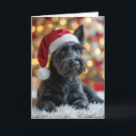 Christmas Scottish Terrier On Fur Card<br><div class="desc">A black Scottish terrier dog wearing a Santa hat sits on a fluffy rug in front of a festive Christmas tree adorned with lights.
Text can be changed.</div>