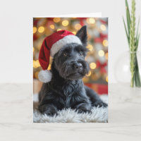 Christmas Scottish Terrier On Fur