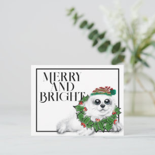 Christmas Seal pup,  festive Arctic animal   Postcard