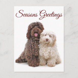 Christmas Seasons Greetings Labradoodle Friends Postcard
