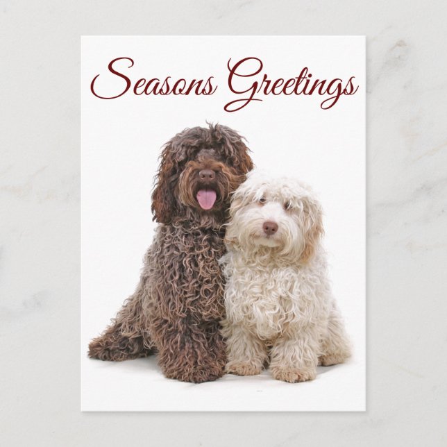 Christmas Seasons Greetings Labradoodle Friends Postcard (Front)