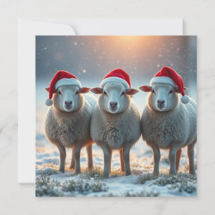 Christmas Sheep Holiday Card