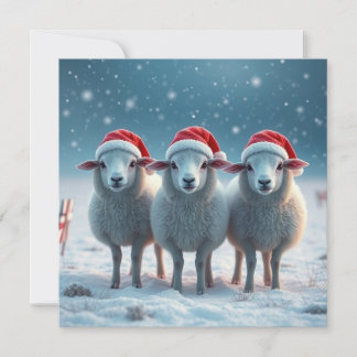 Christmas Sheep Holiday Card