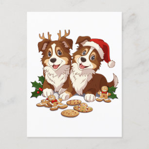 Christmas Shetland Sheepdogs Postcard
