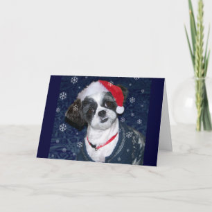 Christmas Shih Tzu Dog Holiday Card