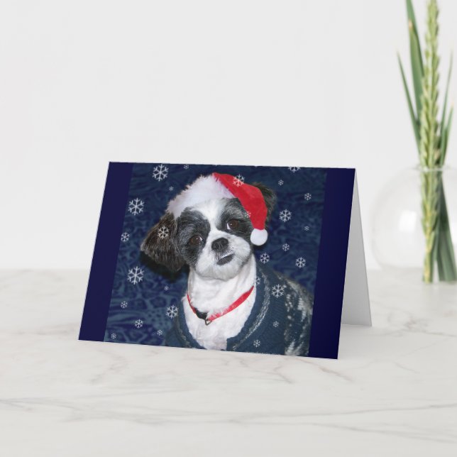 Christmas Shih Tzu Dog Holiday Card (Front)