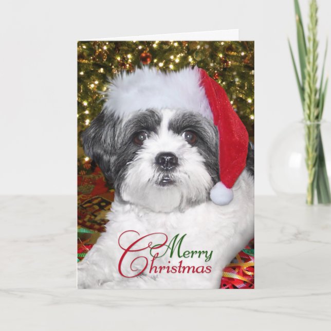 Christmas Shih Tzu Dog Holiday Card (Front)