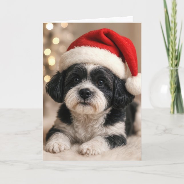 Christmas Shih Tzu Dog With Santa Hat Card (Front)