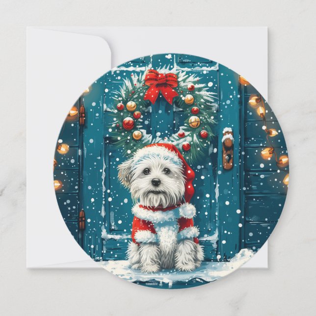 Christmas Shih Tzu Dogs Holiday Card (Front)