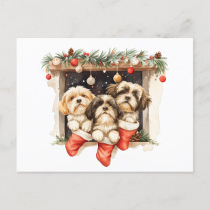 Christmas Shih Tzu Dogs Postcard