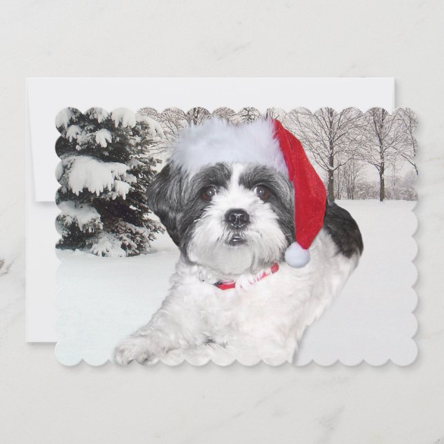 Christmas Shih Tzu in Snow Holiday Card (Front)