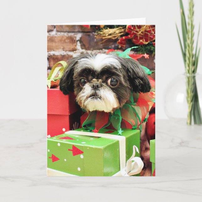 Christmas - Shih Tzu - Yogi Holiday Card (Front)