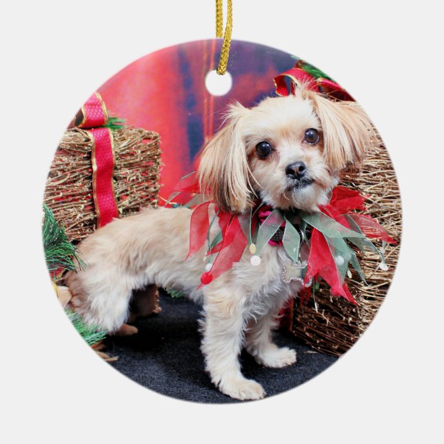 Christmas - Shorkie - Charlie Ceramic Tree Decoration (Front)