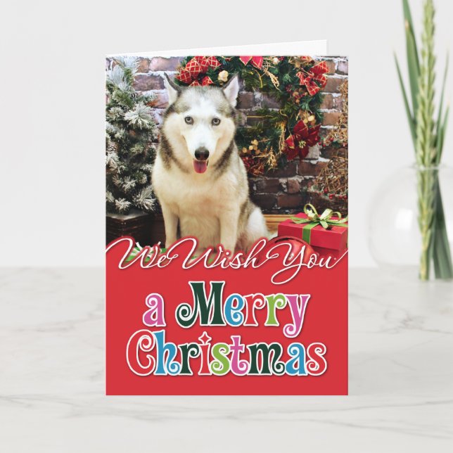 Christmas - Siberian Husky - Teagarden Portraits Holiday Card (Front)