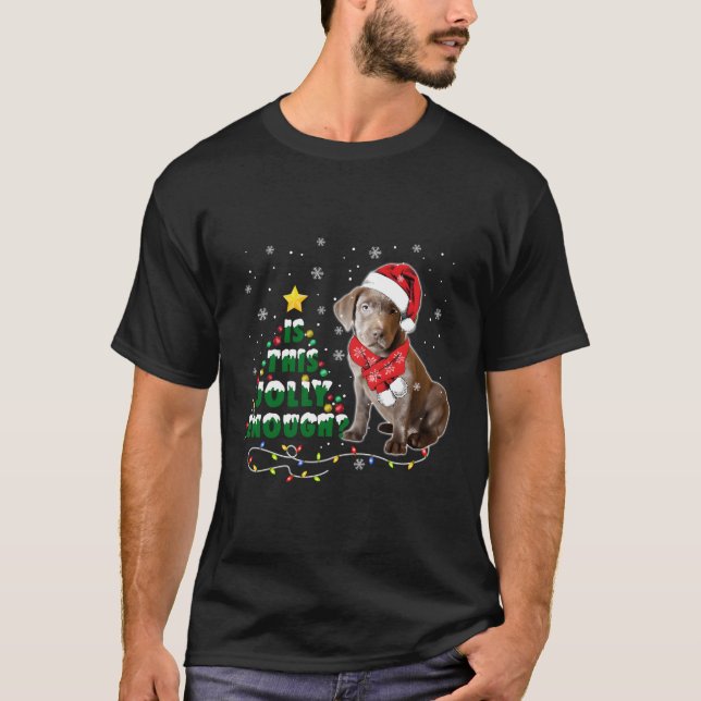 Christmas Silver Labrador Retriever Dog Lover Gift T-Shirt (Front)