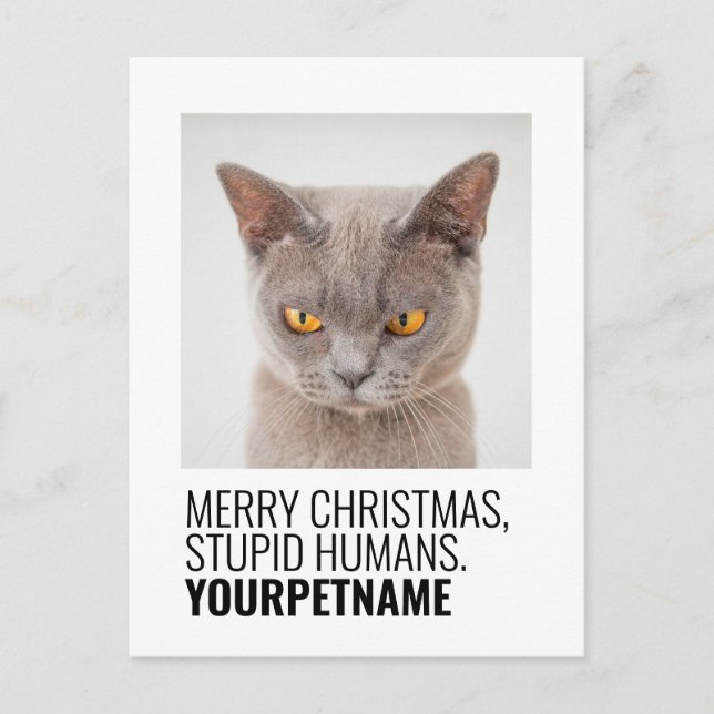 Christmas Simple Funny Pet Name Photo Postcard (Front)