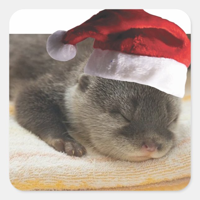 Christmas Sleepy Otter Square Sticker (Front)