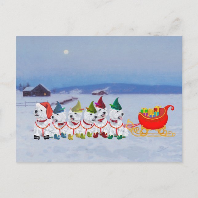Christmas Sleigh Holiday Postcard (Front)