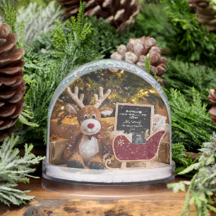 Christmas Sleigh Pregnancy Announcement Snowglobe