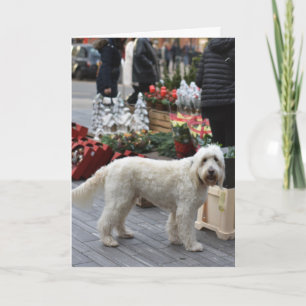 Christmas Sloane Square London Dog Photography Card
