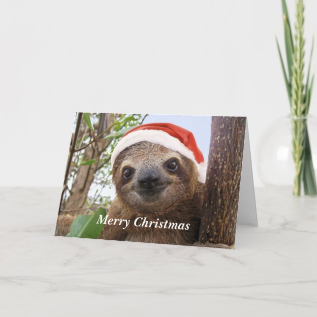 Christmas Sloth Background Holiday Card (Front)