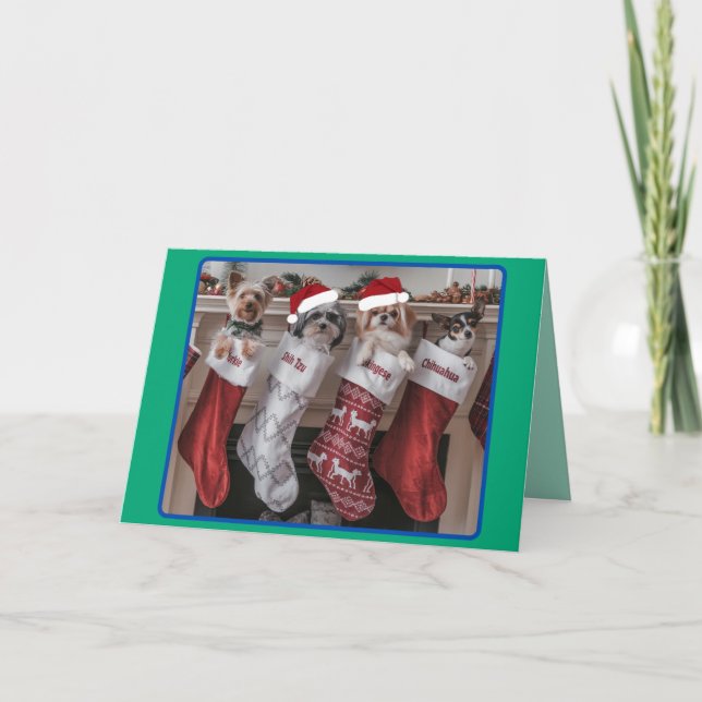 Christmas Small Dog Mantle Holiday Card (Front)