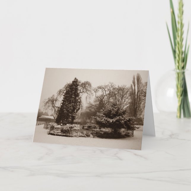 christmas snow in the park original scenic photo holiday card (Front)