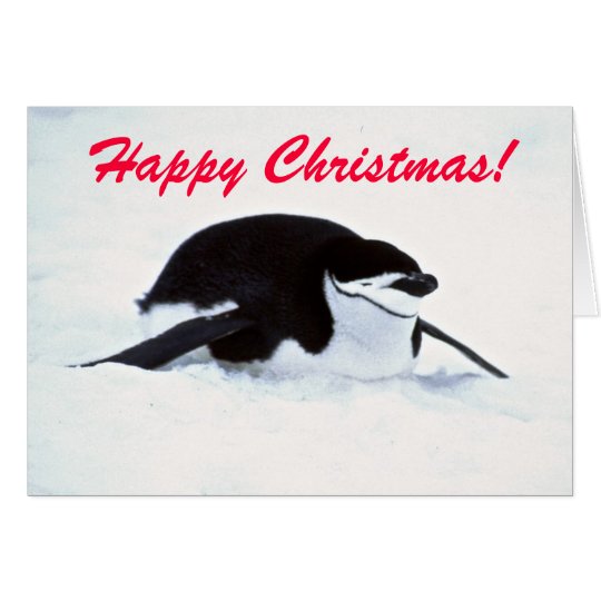 Christmas Snow Penguin Greetings Card