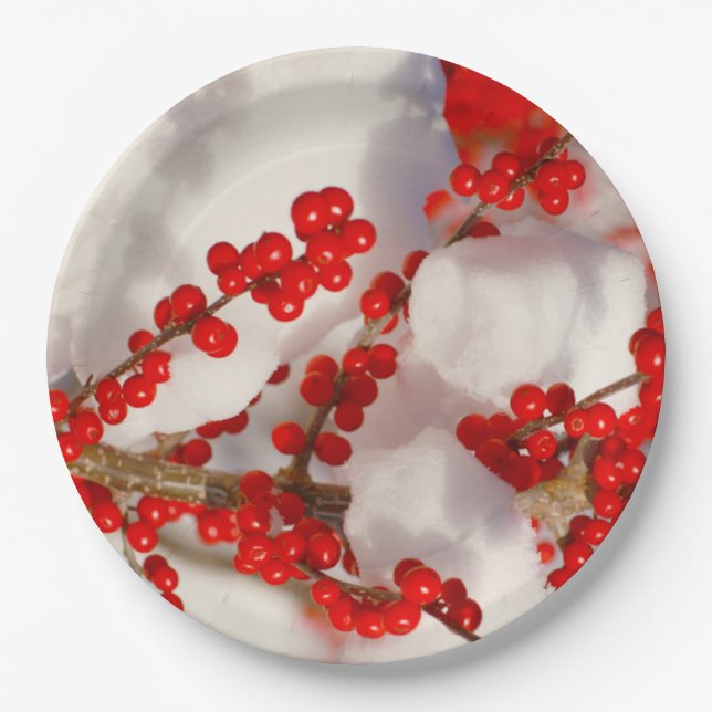 Christmas Snow Red Holiday Berries Xmas Paper Plate (Front)