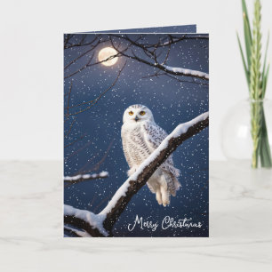 Christmas Snowy Owl In Snowflakes Holiday Card