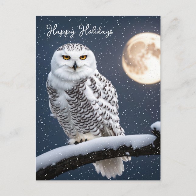 Christmas Snowy Owl In Snowflakes Holiday Postcard (Front)