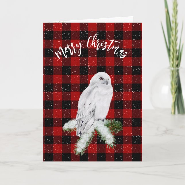 Christmas Snowy Owl On Plaid  Card (Front)