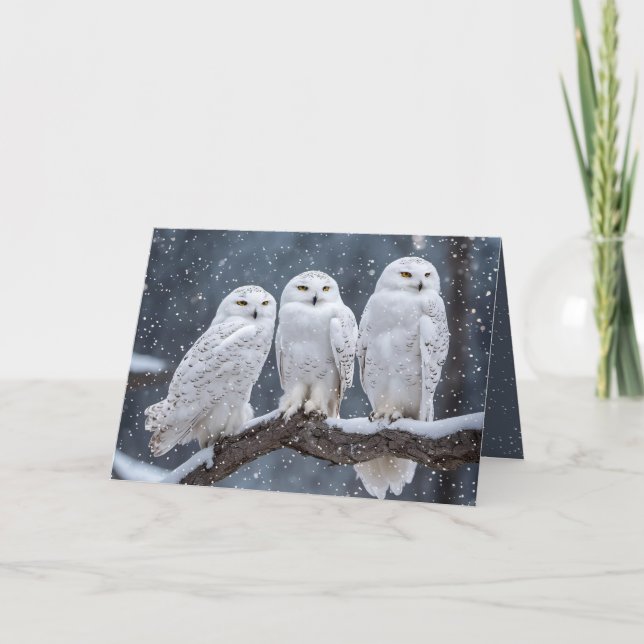 Christmas Snowy Owls Holiday Card (Front)