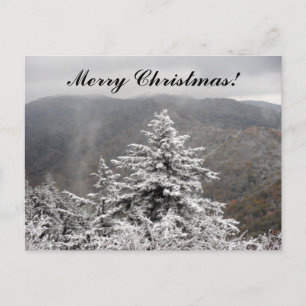 Christmas Snowy Tree Holiday Postcard