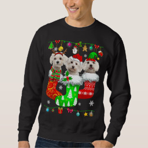 Christmas Socks Pajama Maltese Dog Puppy Lover Sweatshirt