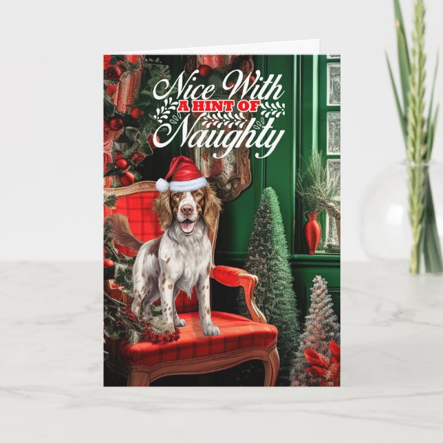 Christmas Springer Spaniel Dog Naughty or Nice Holiday Card (Front)