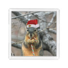 Christmas Squirrel