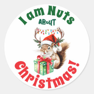 Christmas Squirrel & Antlers & Gift Box  Classic Round Sticker
