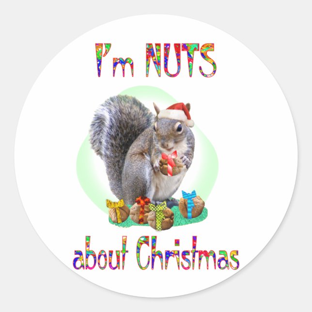 Christmas Squirrel Classic Round Sticker (Front)