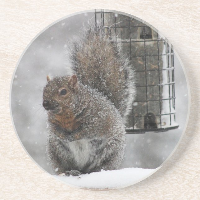 Christmas Squirrel Coaster (Front)