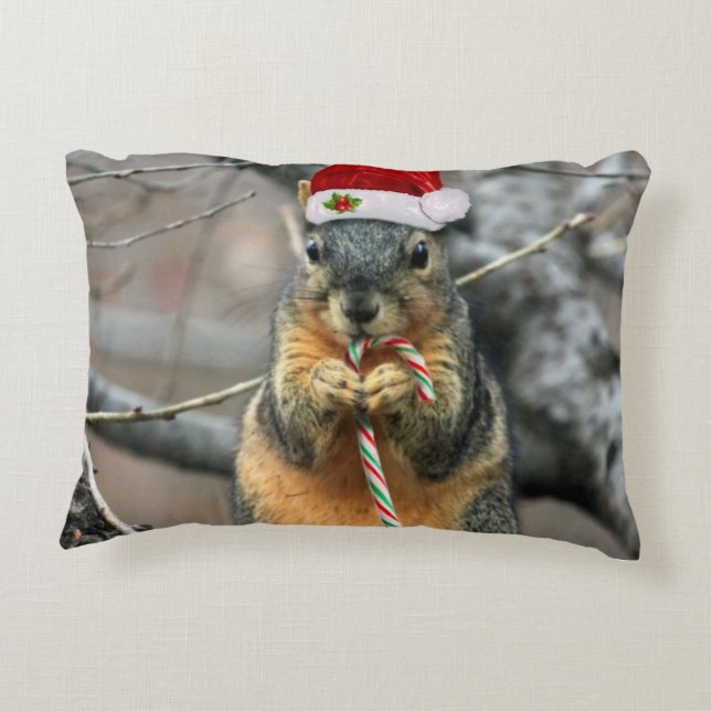 Christmas squirrel decorative cushion (Back)