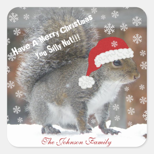 Christmas Squirrel Funny Stickers (Front)