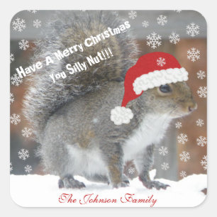 Christmas Squirrel Funny Stickers