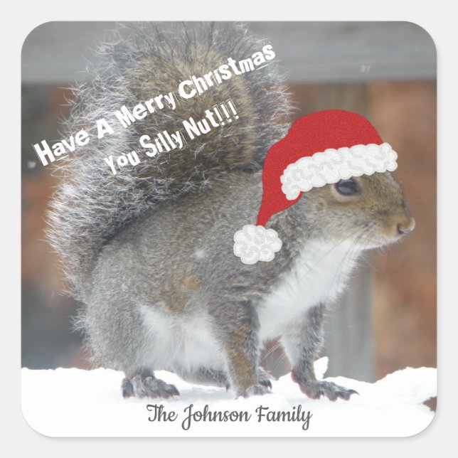 Christmas Squirrel Funny Stickers (Front)