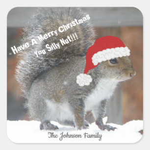 Christmas Squirrel Funny Stickers