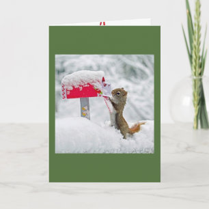 Christmas Squirrel Holiday Card