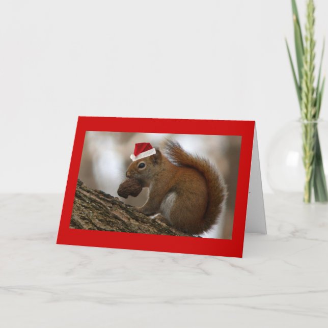 christmas squirrel holiday card (Front)