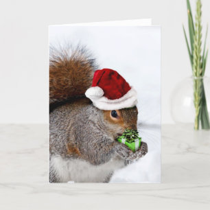Christmas Squirrel Holiday Card