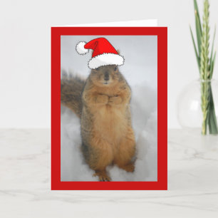 Christmas Squirrel Holiday Card