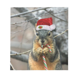 Christmas Squirrel Notepad